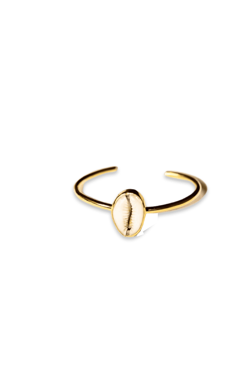 Zama cowrie bracelet