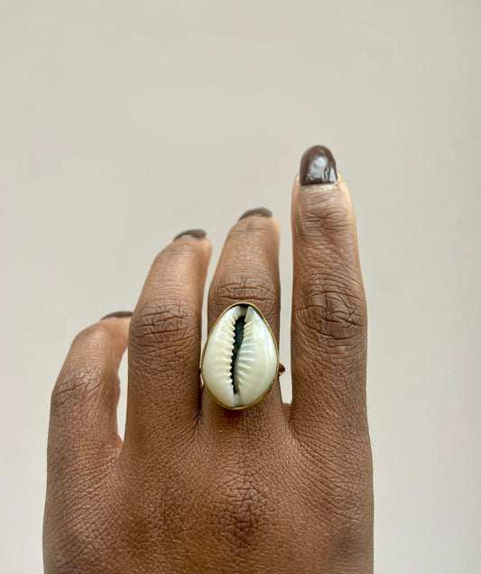 Cowrie ring